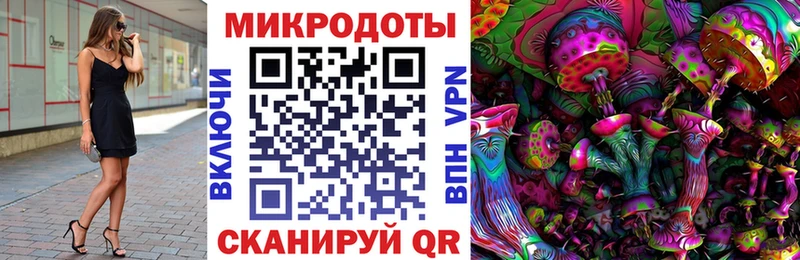 Галлюциногенные грибы Psilocybe  как найти наркотики  Ершов 